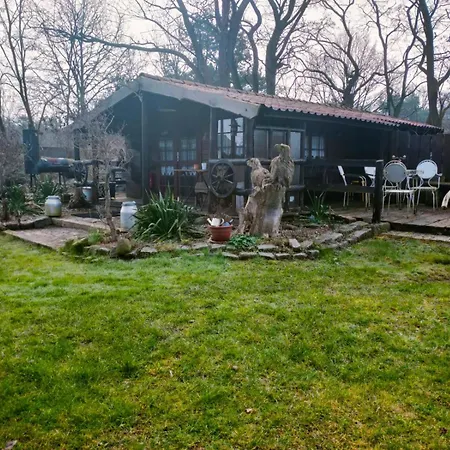 Holzhaus *